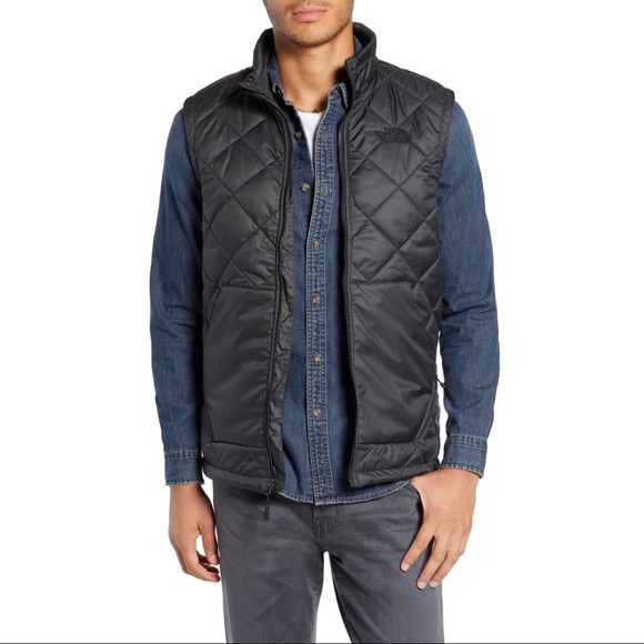 the north face cervas vest
